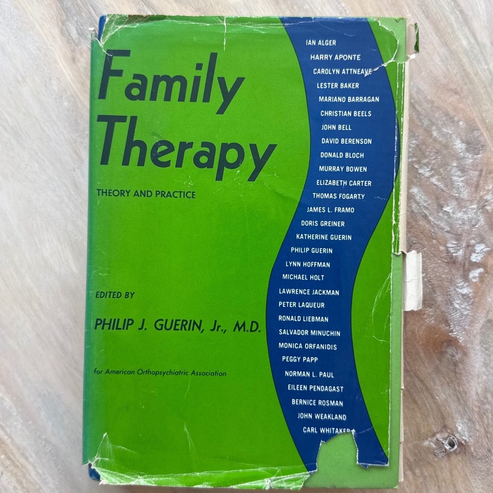 Gardner Press Family Therapy Hardcover Philip Guerin 1976 Green Blue Psychology